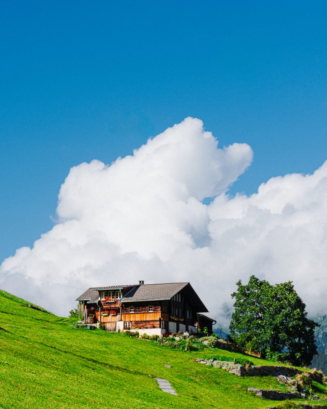 Chalet on a green hill under a towering cumulus.